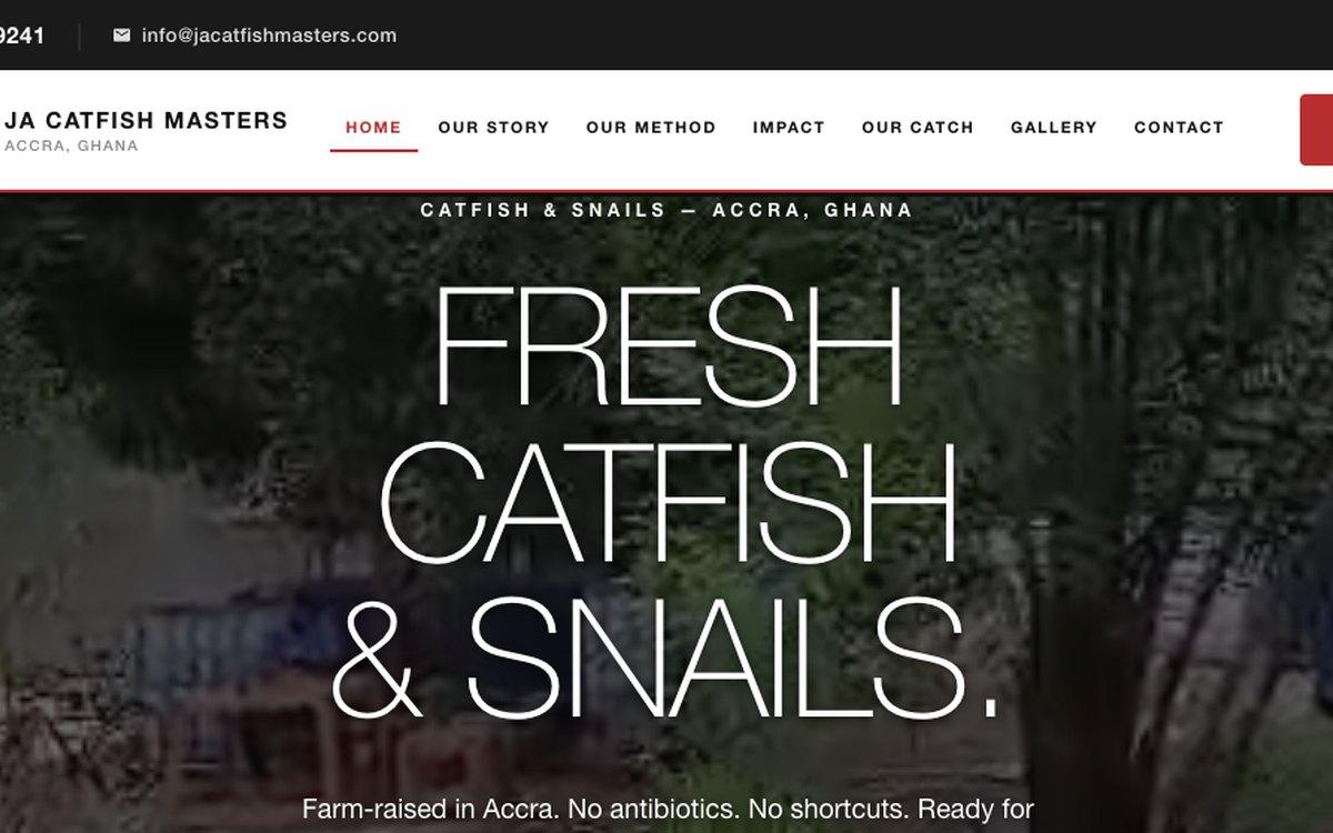 JA Catfish Masters — Agriculture project by Stan Paraclete